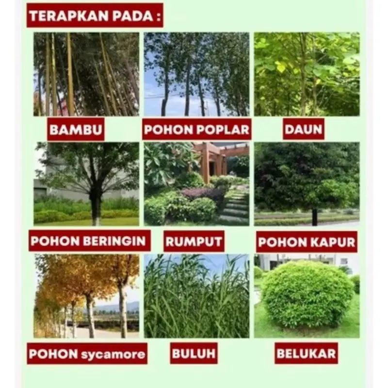 bubuk herbisida killgrass racun rumput, bambu, pohon besar, dan gulma isi 500g 4