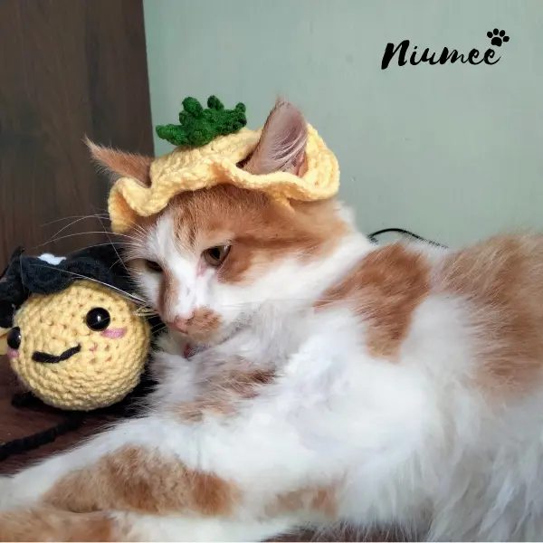 Topi Kucing Karakter Murah Lucu / Topi Kucing Rajut Labu / Cat Hat | Niumee 2