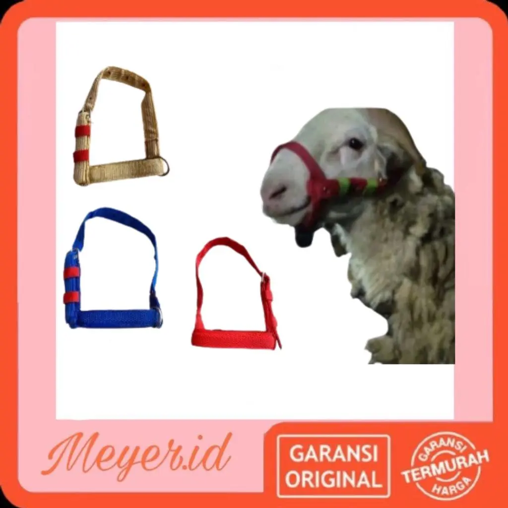 BRANGUS KAMBING / HALTER KAMBING / HARNESS / TALI MULUT KAMBING - DOMBA