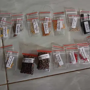 STM Benih Sayuran Rumahan Paket Hemat