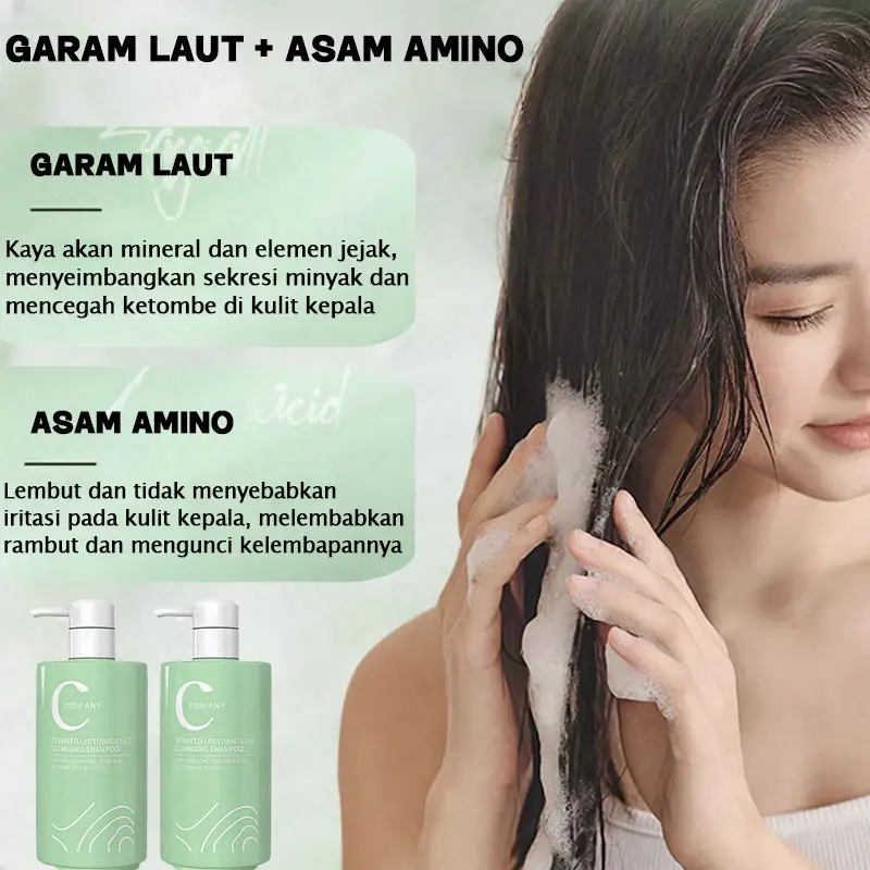 Shampoo Penghilang Ketombe Shampoo Psoriasis Anti Ketombe Dan Gatal Garam Laut Sampo Ketombe Shampoo Kutu Rambut Pengobatan Tungau Kulit Kepala Kering Dan Ketombe Mengontrol Minyak 4
