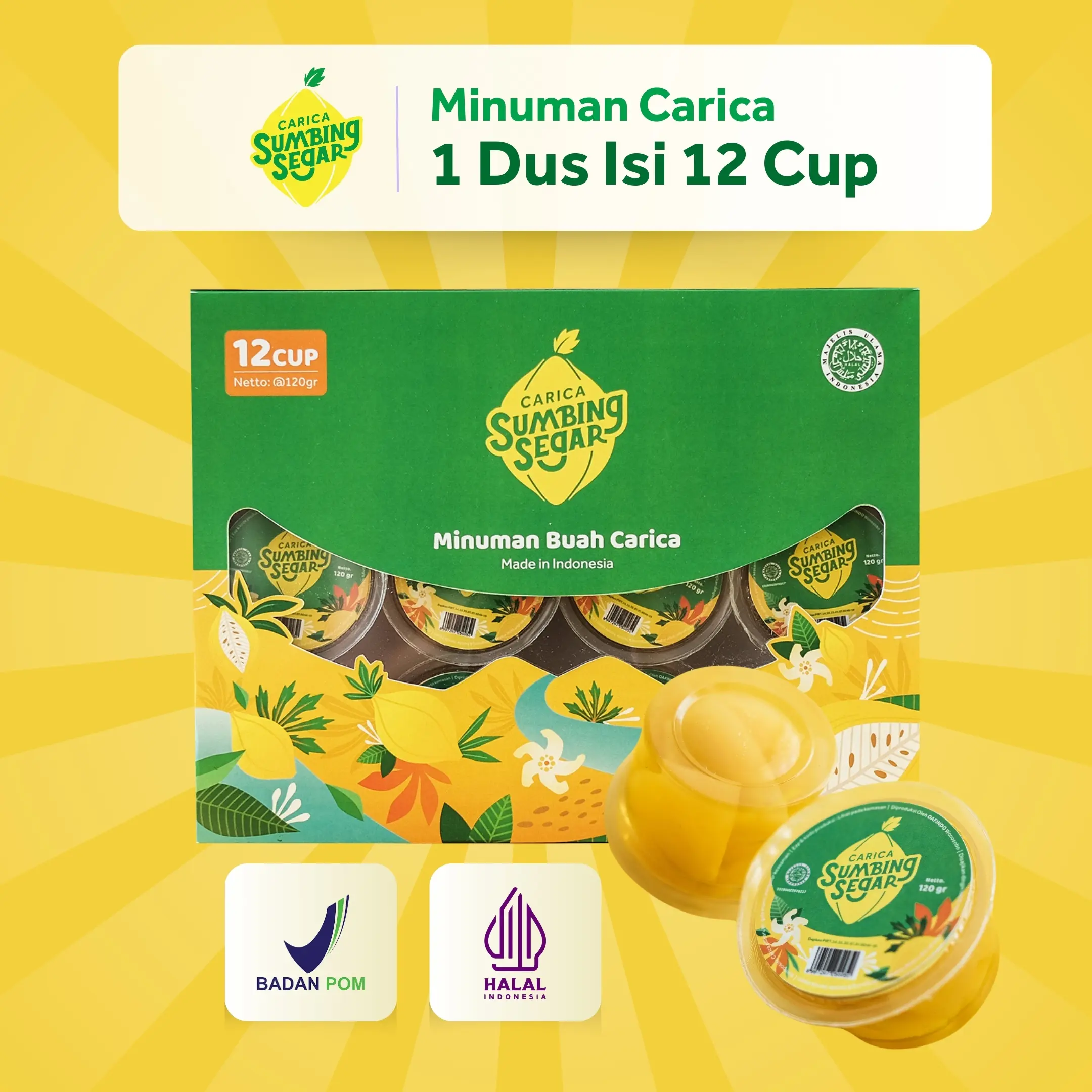 Carica Sumbing Segar 12 Cup  - Minuman Buah Carica