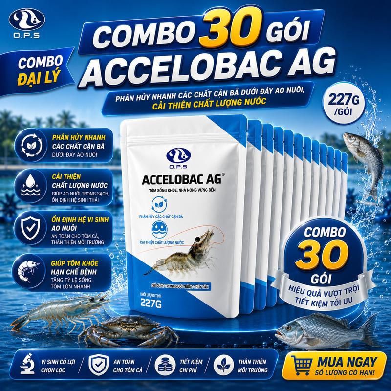 O.P.S ACCELOBAC AG 227 Gram - Vi sinh làm sạch nhớt bạt, cải thiện chất lượng nước ao nuôi