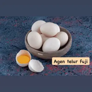 Telur Ayam Kampung Asli Isi 10 butir / Telur ayam kampung sehat alami
