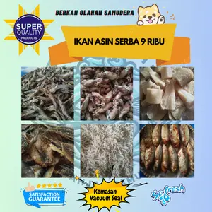 IKAN ASIN SERBA 9RIBU an Premium Baby Cumi Dendeng Teri Nasi Medan Jengki Cumi Telor - MIN CO 4 (BISA CAMPUR)