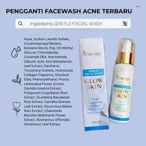 SINORSKIN SATUAN ACNE  Perawatan