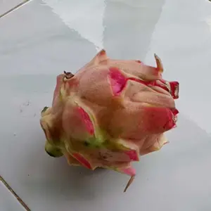 Pembersih Mesin Cair 250ML - SOBIS ENGINE DEGRAISER dengan Kuas Gratis - Car