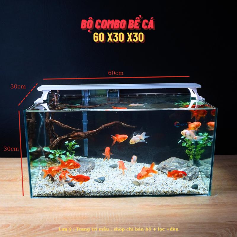 Bể Cá Mini COMBO 60-30-30 Kính 5ly Trọn Bộ Hồ Lọc Đèn Phù Hợp Cho Nuôi Cá Cảnh và Thuỷ Sinh