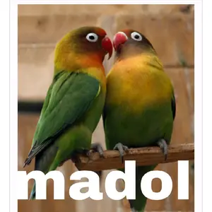 a m herbal original 1 lem