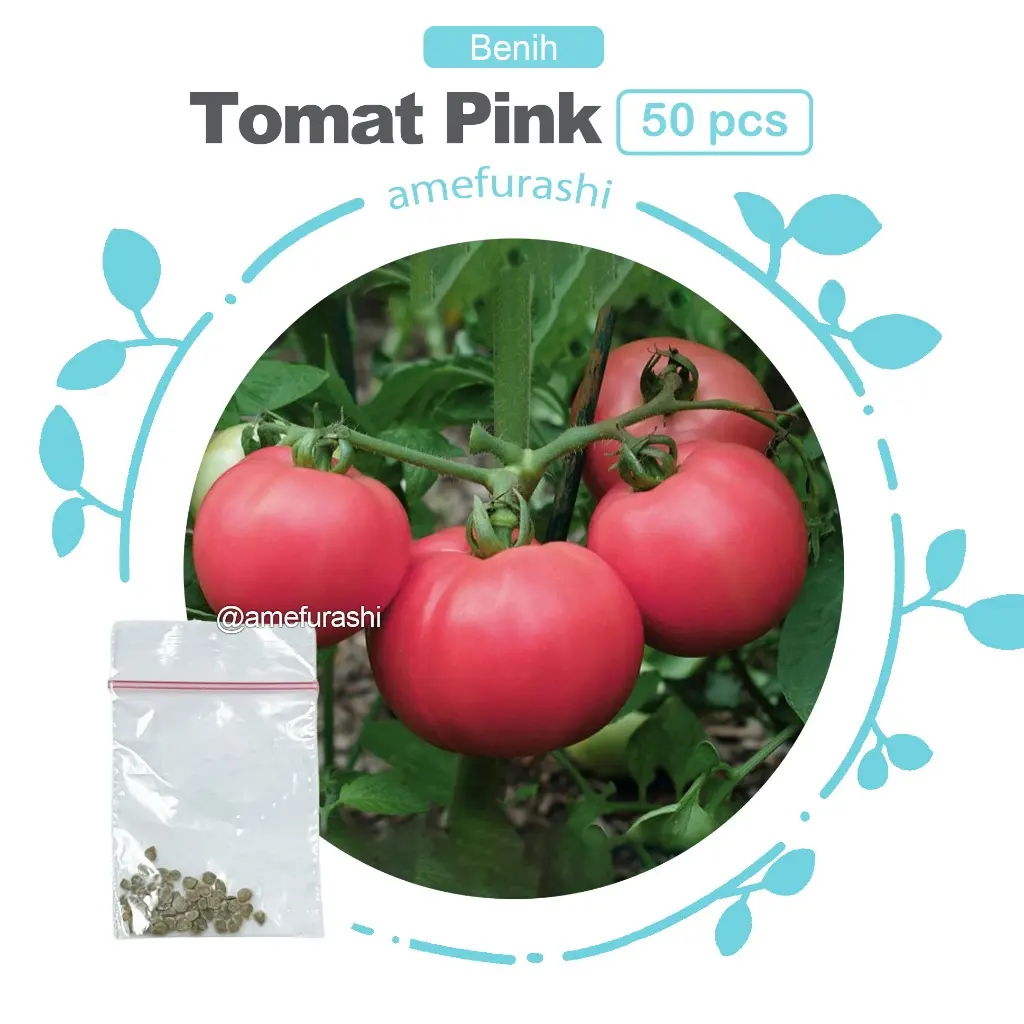 Tomat Pink 50 Biji