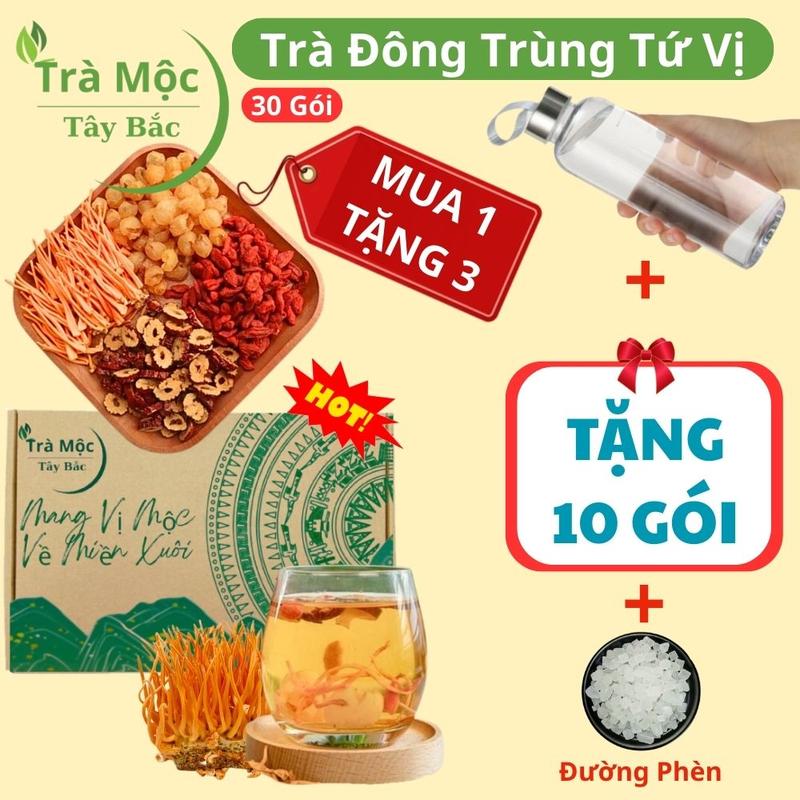Hộp 30 gói trà đông trùng tứ vị TẶNG BÌNH THỦY TINH, TẶNG 10 GÓI, TẶNG ĐƯỜNG PHÈN thơm ngon 4 vị thảo mộc Tây Bắc , Tea chè trà an thần dưỡng nhan (nấm đông trùng hạ thảo, táo đỏ, kỷ tử, long nhãn)