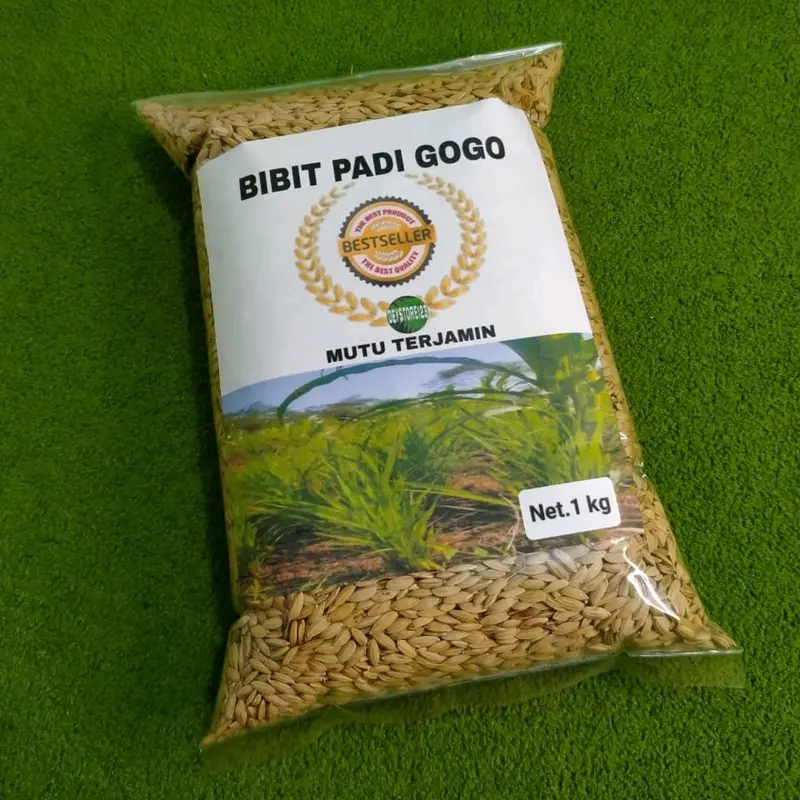 Benih padi gogo padi darat super berat 1 kg Tanaman Merah 5