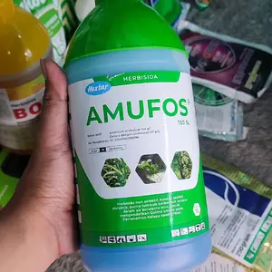Herbisida Amufos 150 sl pengendali rumput lulangan dan rumput berdaun keras