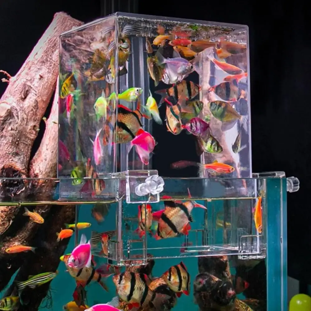 Ecological Aquascape Decoration Bigger Space Fish Elevator Negative Pressure Fish Tower Convenient Observation Inverted Aquarium Home
