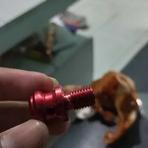 ARM Tutup Baut Spion Tutup Ulir Spion Car Kendaraan