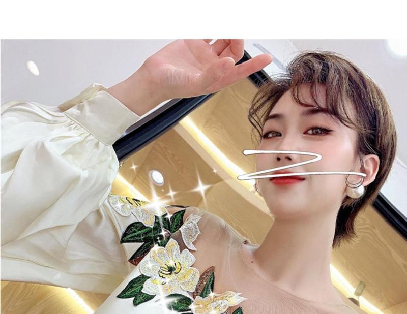 Product Introduction of Áo Sơ Mi Thêu Lưới Thiết Kế Cho Nữ, Hàng Mới Về Mùa Mùa Xuân 2024, Áo Sơ Mi Thêu Hoa Nặng Áo Sơ Mi Nhỏ Đẹp Sang Trọng 1