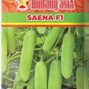 benih timun Saena f1 20 gr