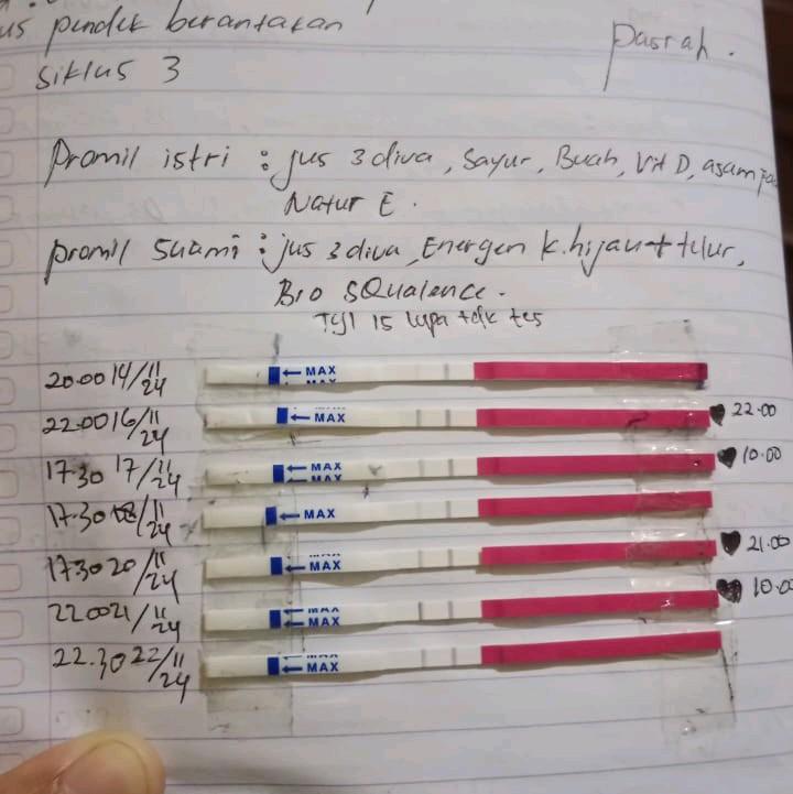 50 PCS/1 BOX Ovutes Alat Tes Masa Subur Sensitif Akurat -(Ungu/Pink/Mix) 2