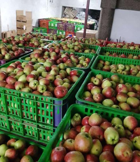 Buah Apel Malang Jenis Ana sekilo 20-25 dengan Rasa Asam Manis - Makanan, Zuriat, Jeruk, Frozen, Lemon, Gula segar HANYA PENGIRIMAN JATIM JATENG MOHON PERHATIANNYA