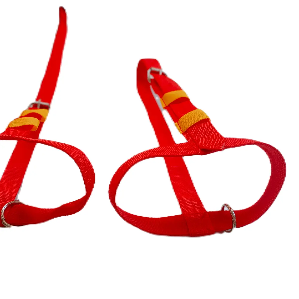brangus / head halter sapi