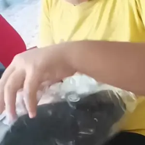 ERAZIO Sepatu Sekolah Anak Model Pylon Velcro Dan Tali All Black Sepatu Anak Laki Laki Dan Perempuan Full Hitam Original Ringan Kualitas Premium Ukuran 30-37 Fashion