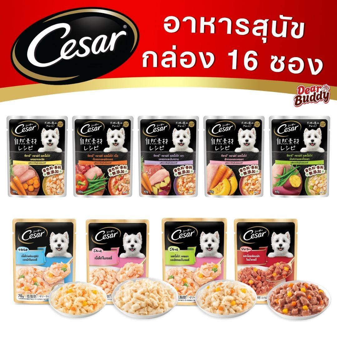 [ยกกล่อง 16 ซอง] Cesar Craft ซีซาร์ อาหารสุนัข แบบซอง 60-70 กรัม อาหารเปียกสำหรับสุนัข