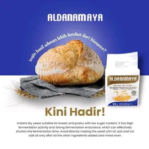 ALDANAMAYA RAGI INSTANT 500GR