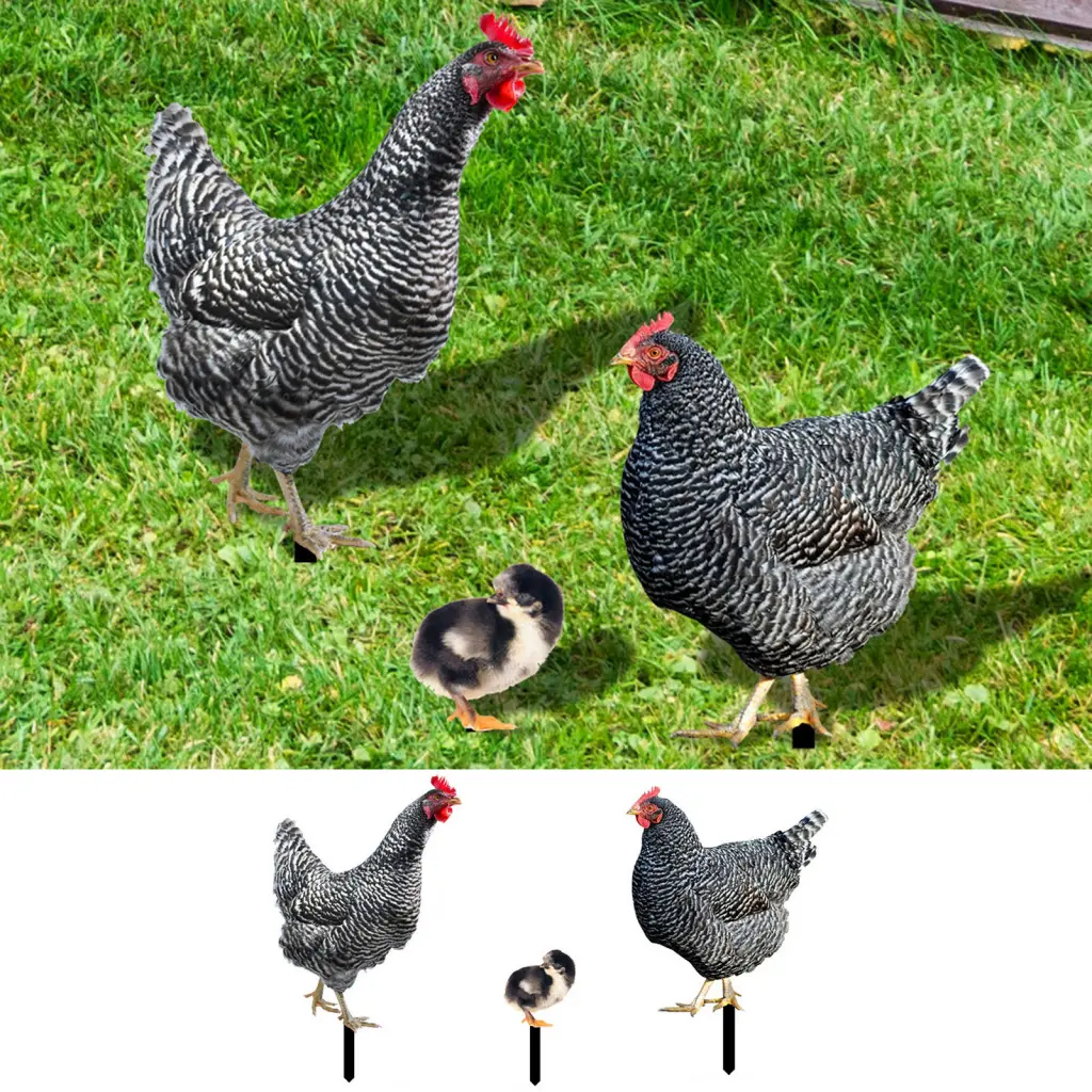 Ghostun Garden Insert Exquisite Long Lasting Garden Stake Three-dimensional Chicken Garden Ornament Outdoor Supply Creative