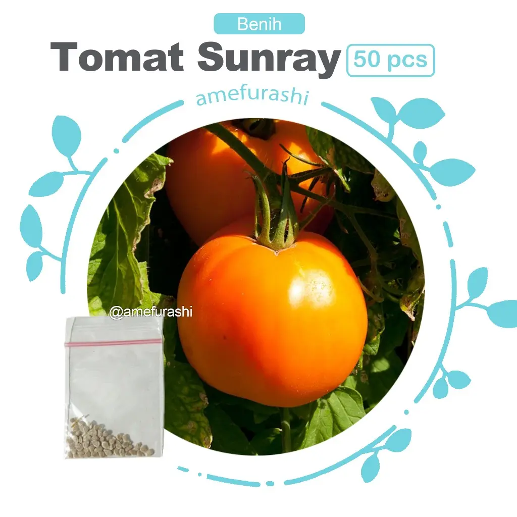 Tomat Sunray 50 Biji
