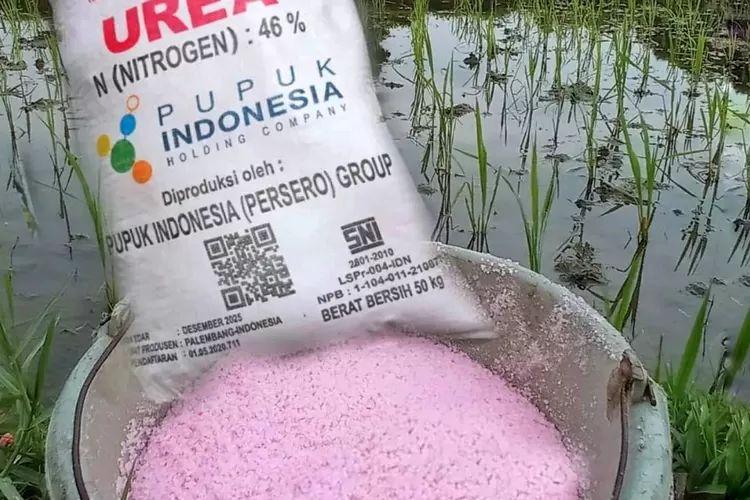Pupuk Organik Urea 1-2kg untuk Tanaman
