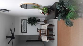 Product Review of NEW! Premium Artificial Ficus Banyan Tree Fejka /  Artificial Weeping Fig Plant / Pokok Hiasan rumah ruang tamu outdoor Viral / 175cm home office deco from F**h M**n 0
