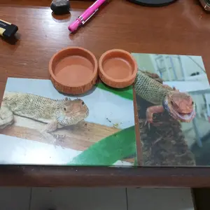 WD029 WATERDISH TEMPAT MINUM HEWAN REPTILE WADAH MAKANAN MINUMAN KALSIUM GECKO TOKEK KELOMANG KEONG UMANG INSECTA TARANTULA KALAJENGKING ULAR CORNSNAKE AKUARIUM HEWAN REPTIL AKSESORIS TERRARIUM DEKORASI KANDANG PET