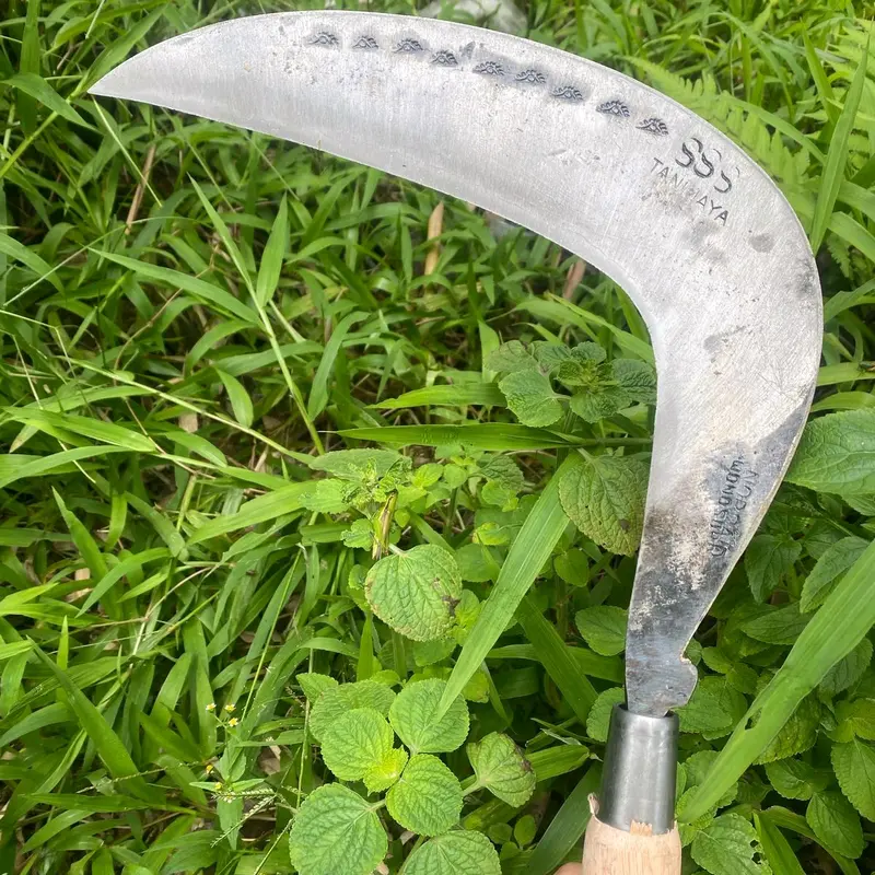 arit sabit rumput baja isen selap super asahan 4