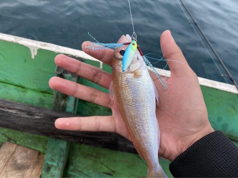 Micro jig Bolo-bolo jig 10gr (glow in the dark)