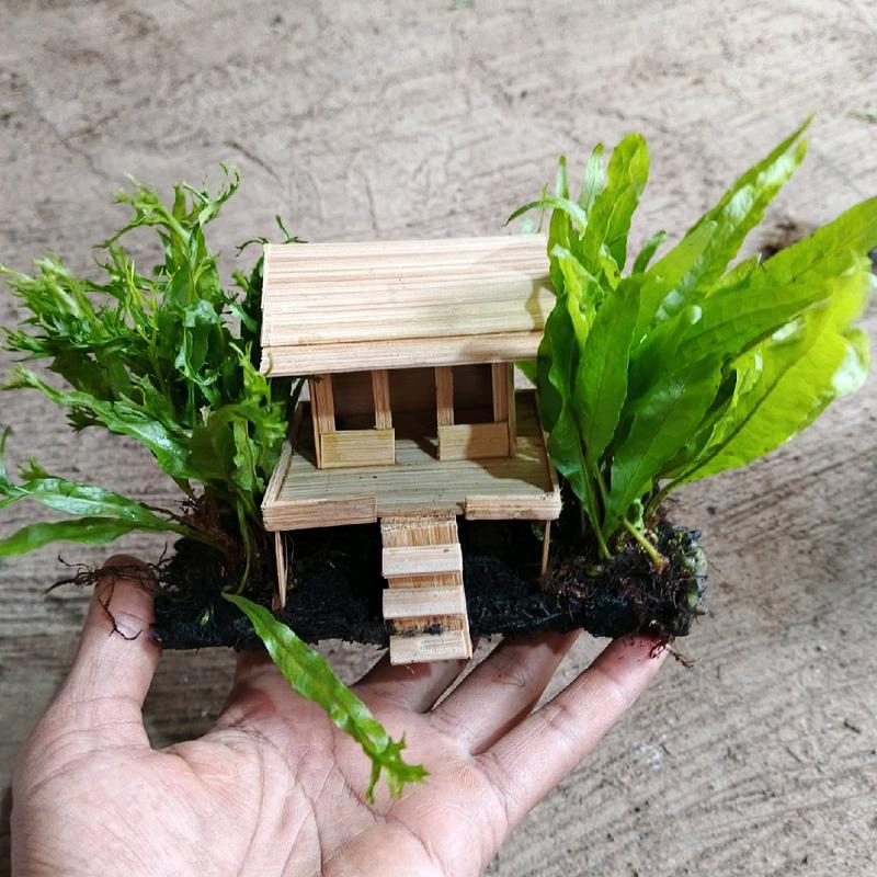 tanaman miniatur rumah tanaman sintetis hiasan akuwarium 2