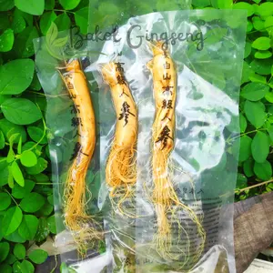 Ginseng Segar (100gr) Asli Gunung Changbai China - Kemasan Vakum / Herbal Fresh Ginseng / Ginseng China Original