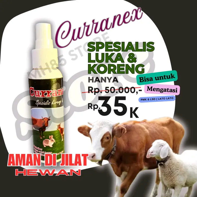 Obat Semprot Gudik Kambing Dan Sapi Untuk Hewan Terkena Virus PMK kuku 1
