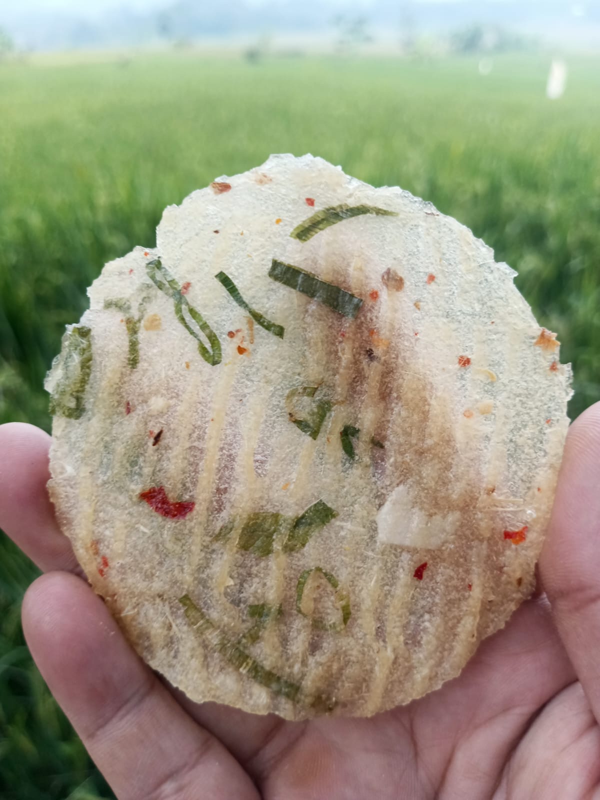 Kicimpring Singkong Mentah Bawang Cabai Gurih dan Renyah Camilan Kering Cemilan Kerupuk Snacks Makanan Keripik Pedas Food Kripik Opak Singkong Manis Asin enak