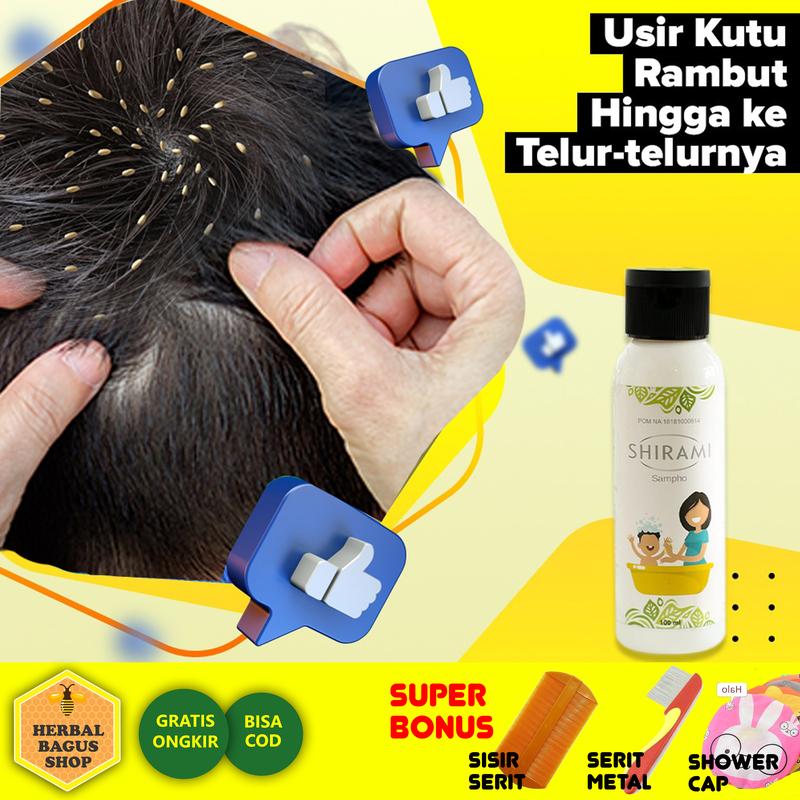 Shampo Kutu Rambut Anak dan Dewasa, Shampoo Penghilang Kutu Rambut ...