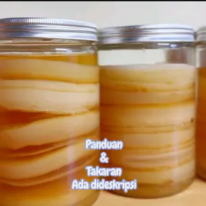 baby scoby  jamur kombucha per keping