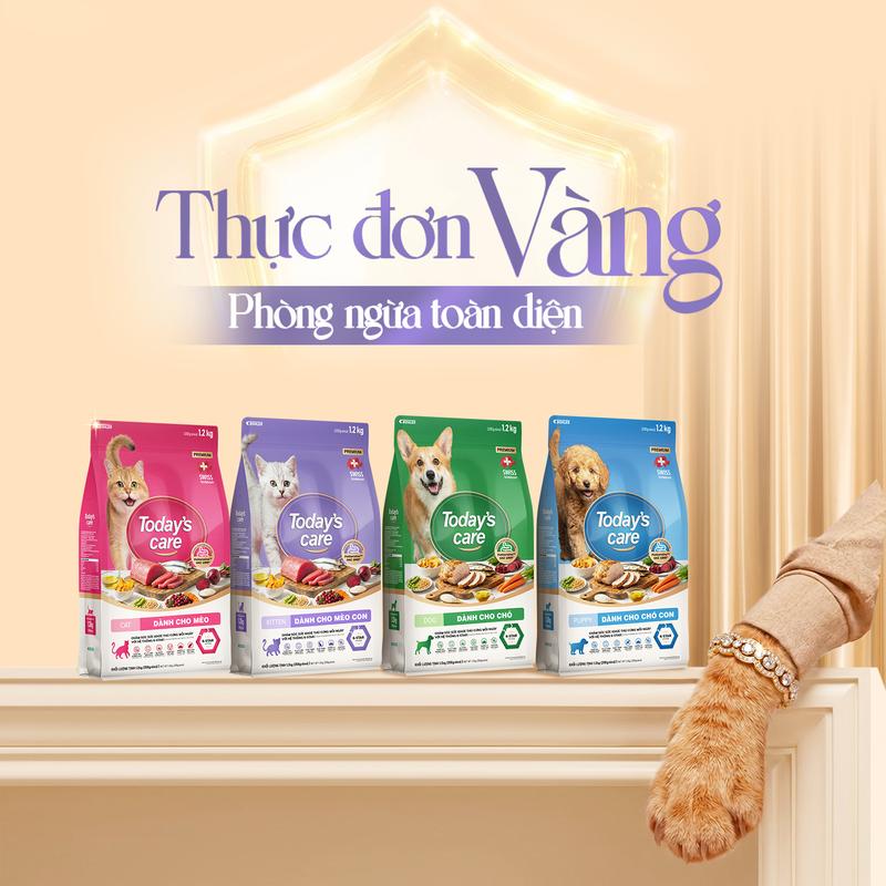 (200GR) TODAY'S CARE - Hạt Cho Mèo Hỗ Trợ Tiết Niệu, Chăm Sóc Da Lông & Đường Ruột