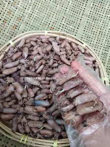 CUMI - CUMI BALITA / KHAS MEDAN