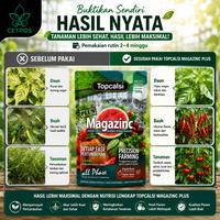 Gambar CETROS~ 500gr Magazinc Plus Pupuk Kalsium Calsium Tanaman Anti Rontok Bunga Buah Jamur Busuk dan Layu | Memperkuat Daya Tahan Tanaman | Vitamin dan Suplemen dari CETROS.ID Kab. Banyuwangi 3 Tokopedia