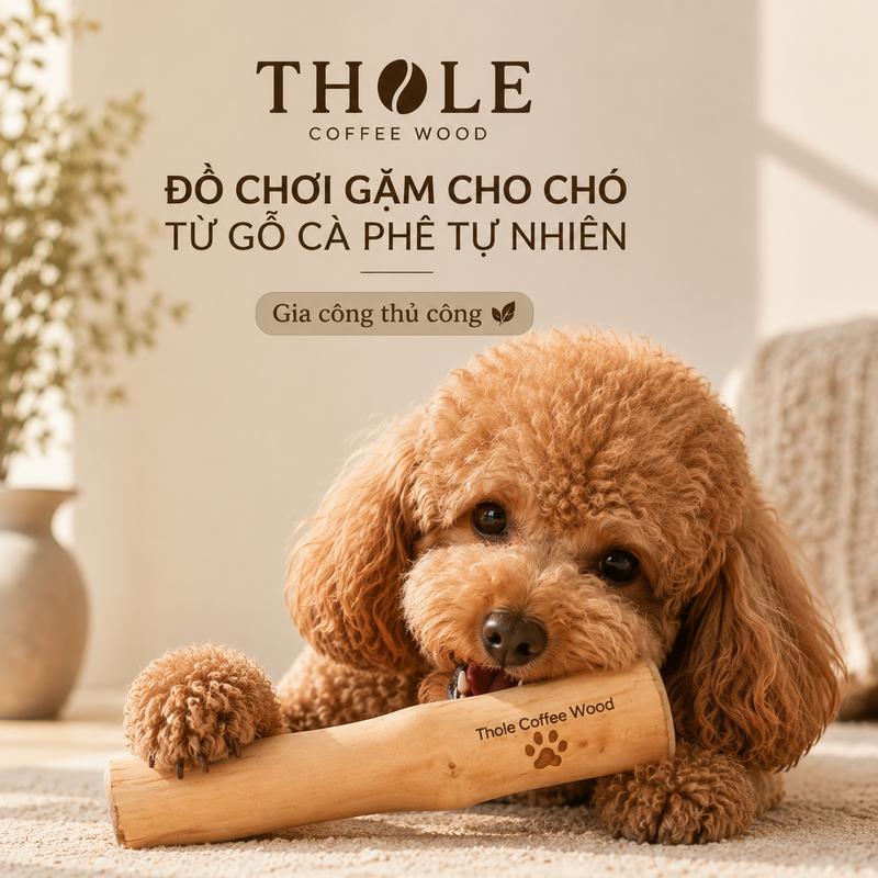 Gỗ Gặm Đồ Chơi Cho Chó Thole Coffee Wood Thanh gỗ gặm mài răng cho chó ngứa răng cắn phá đồ làm từ gỗ cà phê tự nhiên