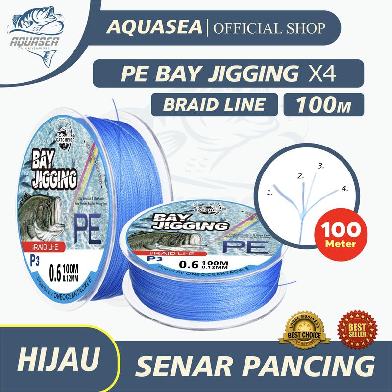 Dây Bện câu cá Aquasea PE x4 Bay Jigging 100m Fishingline Lure câu ngâm .