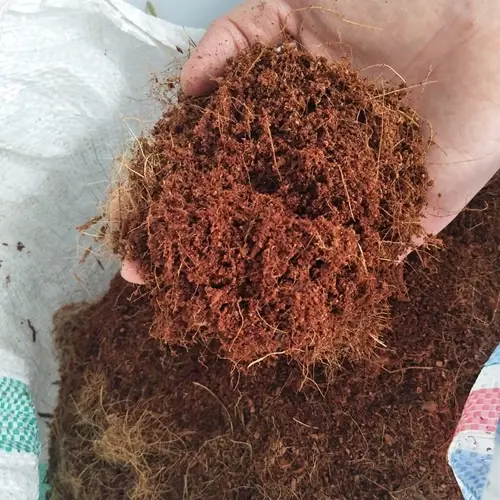 Media Tanam Cocopeat Kaktus Sukulen Kemasan 250 gram