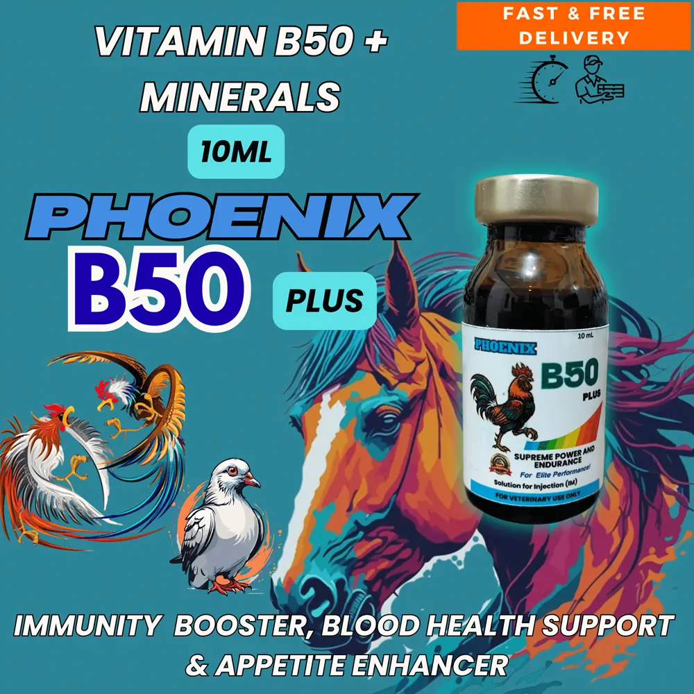 tb500 vs bpc 157 for tendons BPC157 and TB500 peptides— this is exactly how I inject them to help with injury recovery, inflammation, and muscle repair. I mark the area, clean it right, and use a tiny needle tb500 vs bpc 157 for tendons BPC157 and TB500 peptides— this is exactly how I inject them to help with injury recovery, inflammation, and muscle repair. I mark the area, clean it right, and use a tiny needle