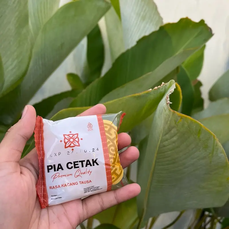 Pia Cetak Moon Cake 1Ball Isi 10pcs Varian Rasa Kacang Ijo Kups - 3