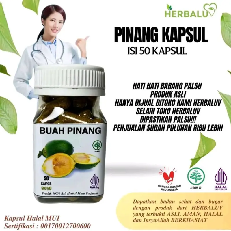 KAPSUL BUAH PINANG ORIGINAL HERBAL 0