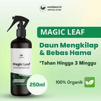 Gambar Workplant - Pengkilap Daun Organik Magic Leaf Tanaman Hias Daun Mengkilap & Bebas Hama Siap Pakai Aman Untuk Tanaman - Magic Leaf Only dari workplant official Kota Surabaya 1 Tokopedia